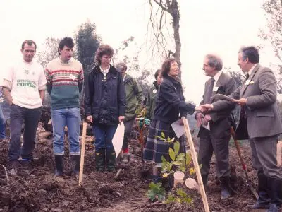 Pigdown 1988