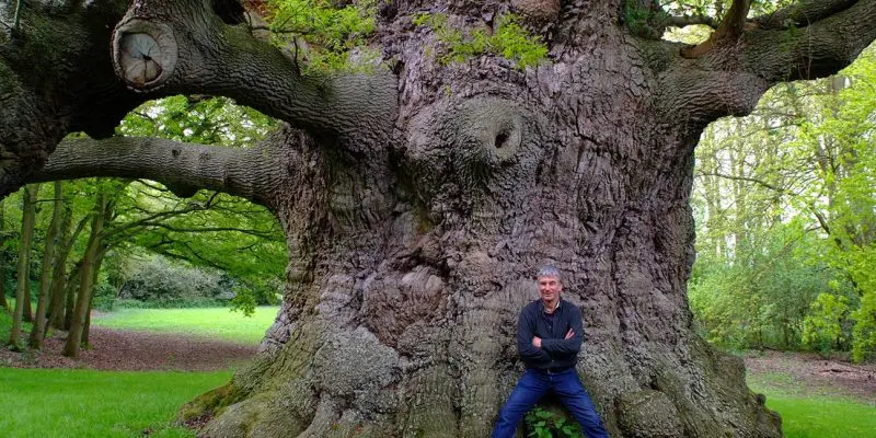 Kent Heritage Trees and ‘The British Oak’